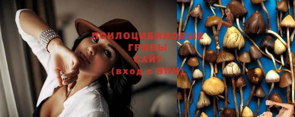 тгк Сосновка
